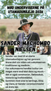 Sander