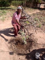 Maila og mit 2 år gamle egetræ i Nyanguge.