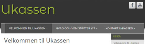 Ukassens årsberetning 2024