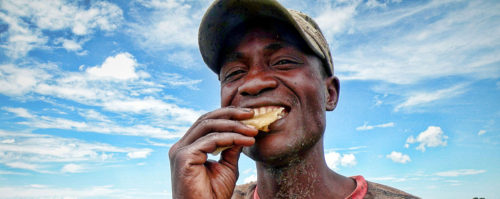 En hvid bonde planter ris i Tanzania