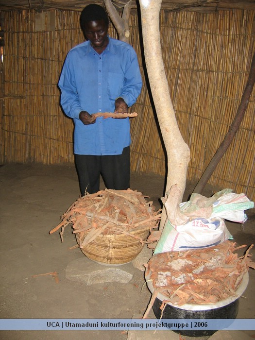 UCA | Utamaduni kulturforening projektgruppe | 2006. Foto nummer Ntylya 2006 075.jpg