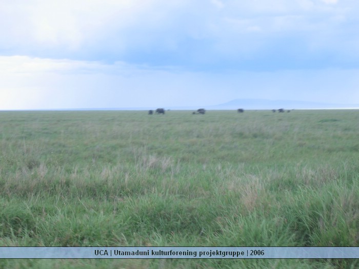 UCA | Utamaduni kulturforening projektgruppe | 2006. Foto nummer Ntylya 2006 322.jpg
