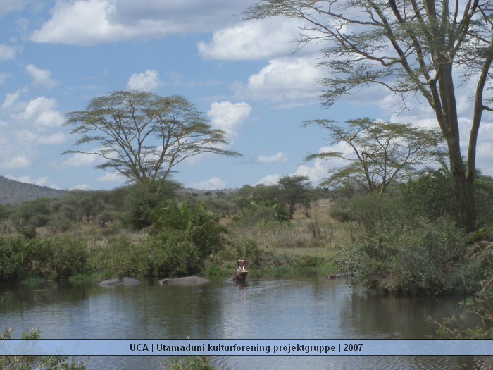 UCA | Utamaduni kulturforening projektgruppe | 2007. Foto nummer Tanzania tur november 2007 080.jpg